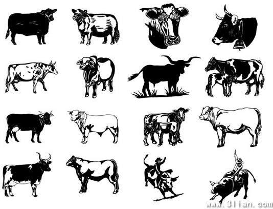 Black and White Cow Logo - Wild west design elements cow boys bulls icons Free vector in Adobe ...