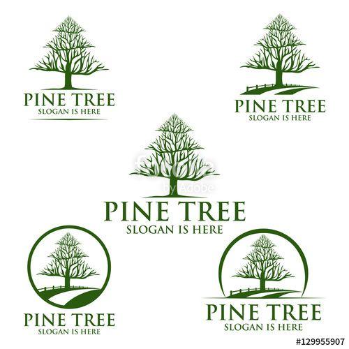 Pine Tree Logo - pine tree, oak, tree, leaf. logo design Stock image and royalty
