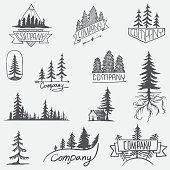 Pine Tree Logo - Image result for pine tree logo | Logo Design | Forest logo, Tree ...
