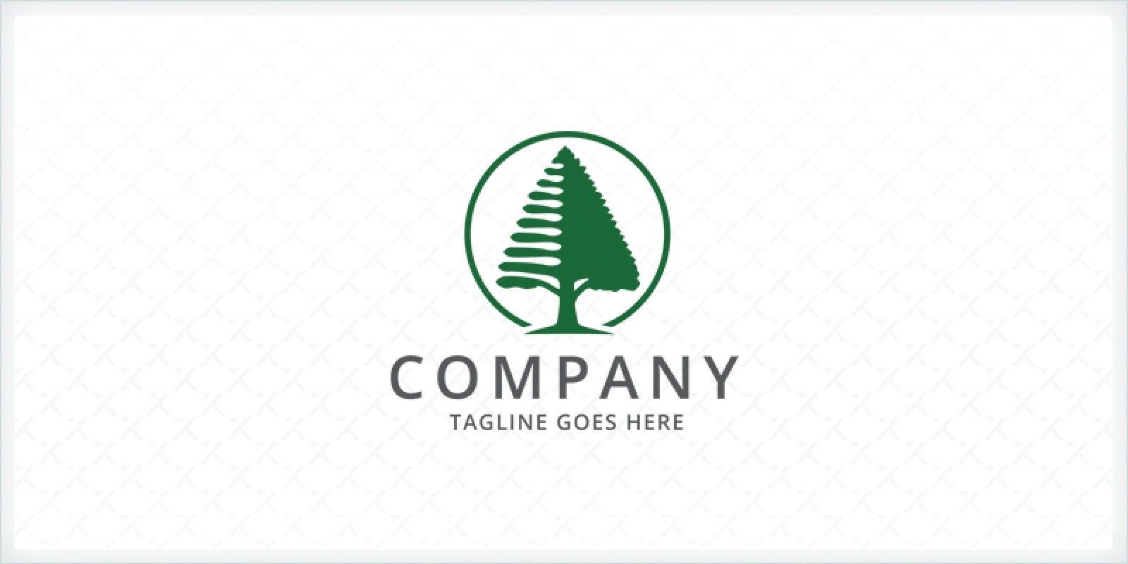Pine Tree Logo - Pine Tree Logo Template | Codester
