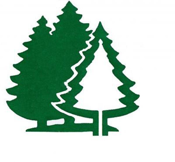 Pine Tree Logo - Inspiring Tree Logo Designs. Art and Design