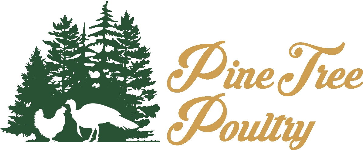 Pine Tree Logo - Pine Tree Poultry | All Natural Farm Fresh Turkey from New Sharon Maine