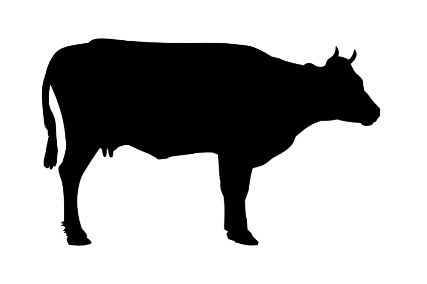 Black and White Cow Logo - Cow PNG image, free cows PNG picture download