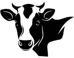 Black and White Cow Logo - Image result for cow logo | How to draw a cow | Cow, Cow logo, Drawings