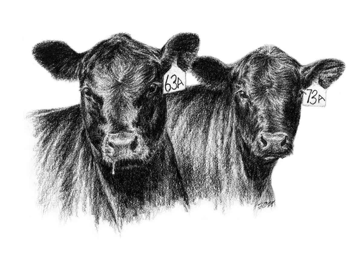 Black and White Cow Logo - Angus Clip Art