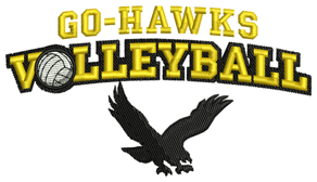Hawks Volleyball Logo - WSR GO HAWK CAMPS