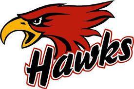 Hawks Volleyball Logo - Northeast Hawks volleyball sweeps Southeastern Community College ...