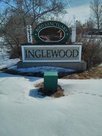 Inglewood Bird Logo - Inglewood Bird Sanctuary - Picture of Inglewood Bird Sanctuary and ...