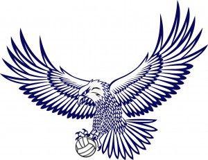 Hawks Volleyball Logo - Summer Gym Tonight!