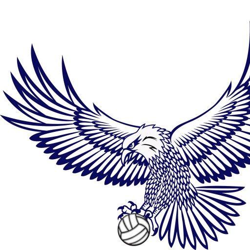 Hawks Volleyball Logo - June 2017