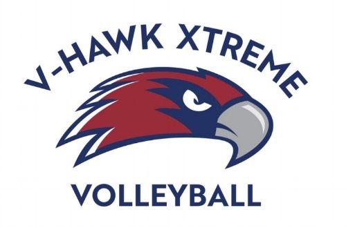 Hawks Volleyball Logo - BRINGING YOUR BEST TO THE NET!