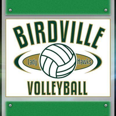 Hawks Volleyball Logo - Birdville Volleyball