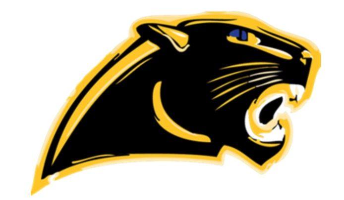 Yellow Panther Logo - NL Panther Baseball Parent Meeting Set