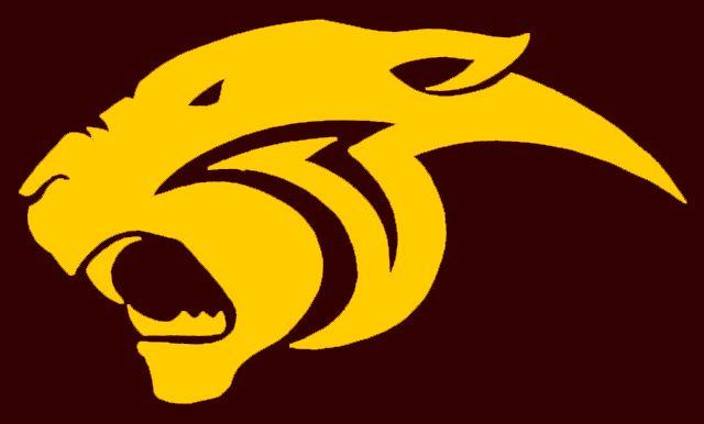 Yellow Panther Logo - 123_997