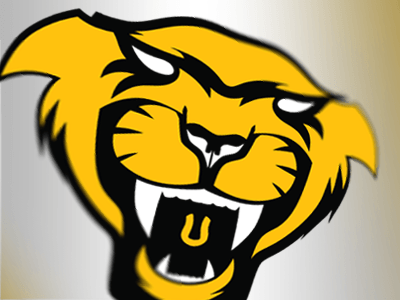 Yellow Panther Logo - Panther