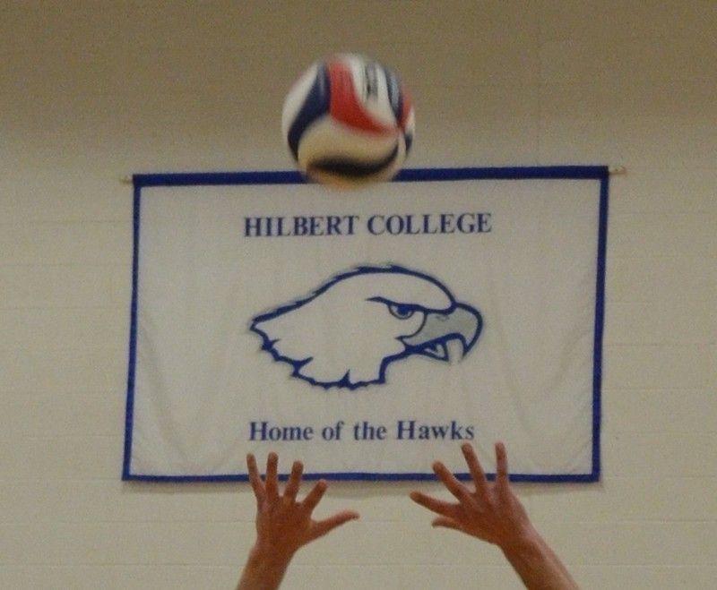 Hawks Volleyball Logo - Hawks Volleyball Opens This Weekend at Wittenberg - Hilbert College ...