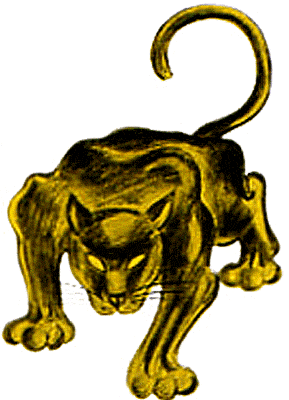 Yellow Panther Logo - A Definitive Guide to the Pitt Logo through the Years