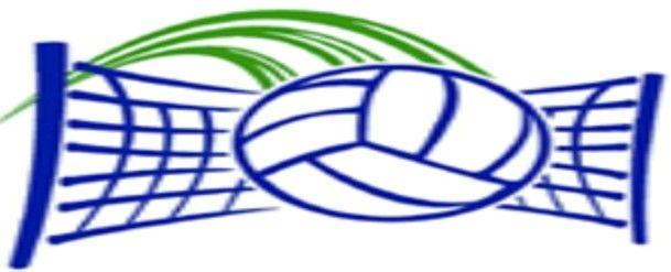 Hawks Volleyball Logo - Volleyball Camp High School