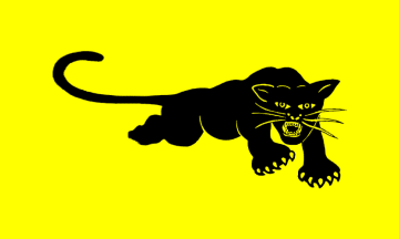 Yellow Panther Logo - Black Panthers Party (U.S.)