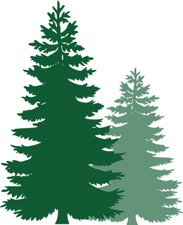 Pine Tree Branch Logo - Free Image on Pixabay - Pine Trees, Spruce Trees | Trees | Pine tree ...