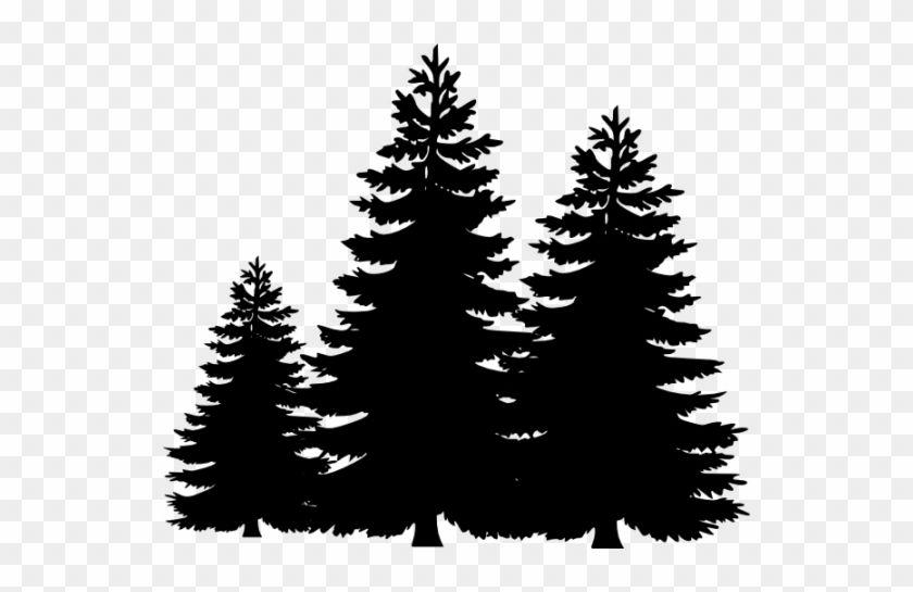 Pine Tree Branch Logo - Evergreen Tree Clipart - Black And White Pine Trees - Free ...