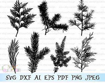 Pine Tree Branch Logo - Pine tree svg | Etsy