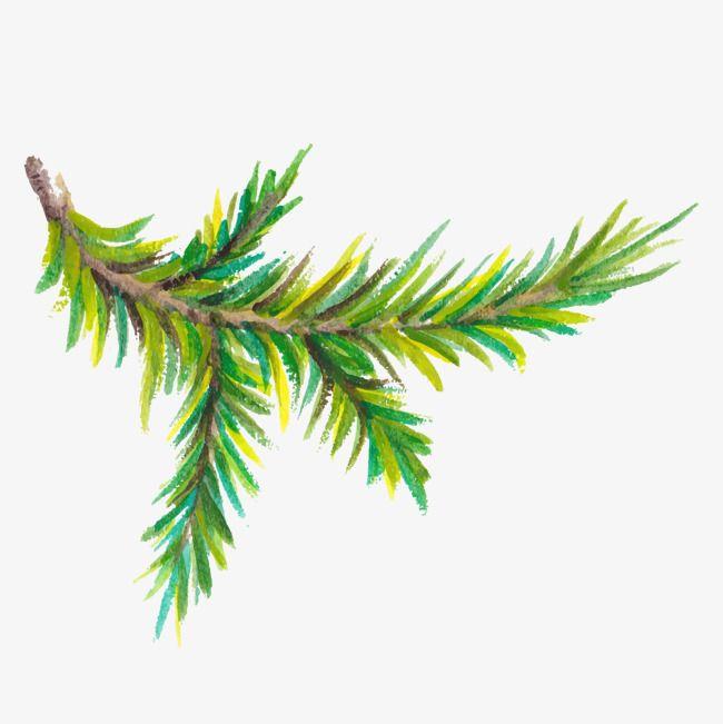 Pine Tree Branch Logo - Watercolor Pine PNG Image. Vectors and PSD Files. Free Download