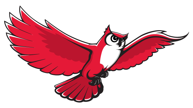 College Owl Logo - Logos | Marketing & Communications