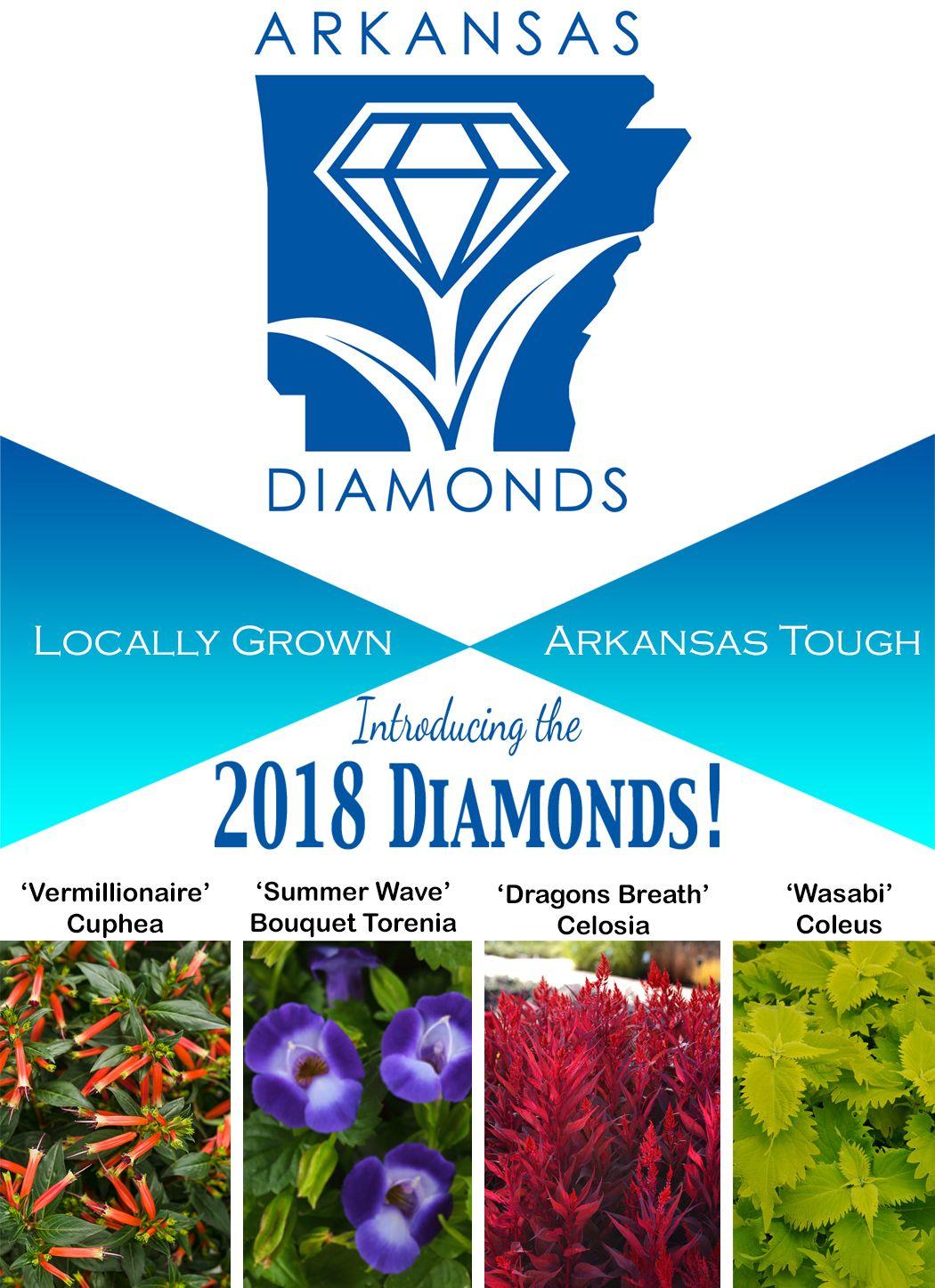 Arkansas Diamond Logo - Arkansas Diamonds Green Industry Association
