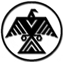 Eagle in Circle Logo - EagleCircle