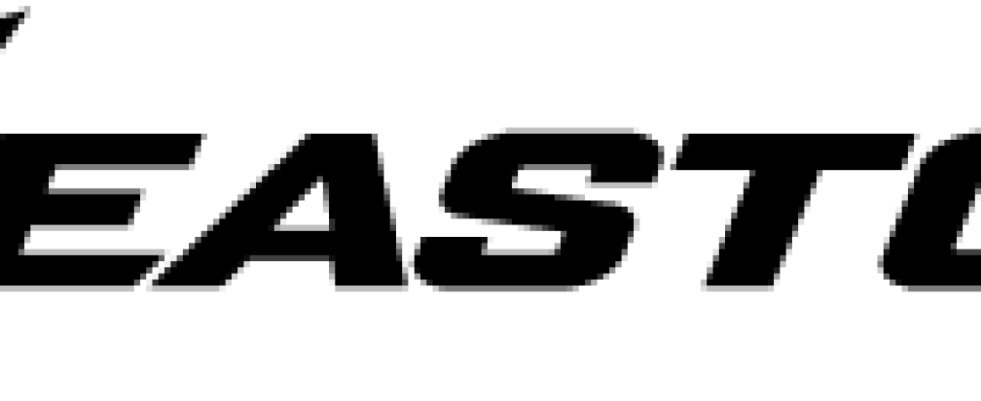 Easton Baseball Logo - Easton – Baseball Youth