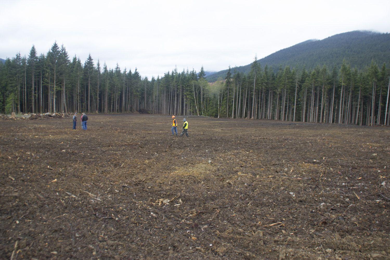 Elk Meadow Logo - Salvaged trees help pay for elk meadow in North Cascades - Northwest ...