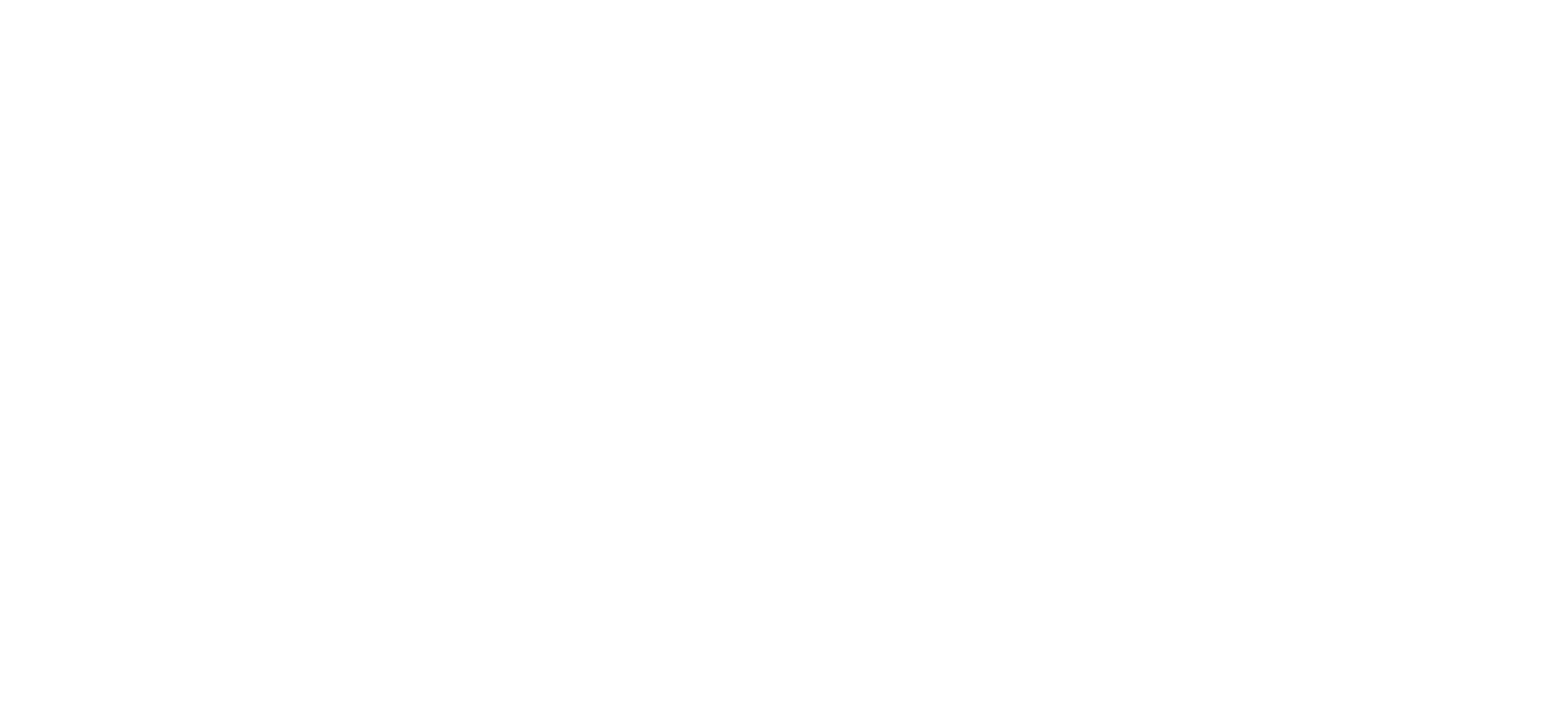 IMS Logo - IMS