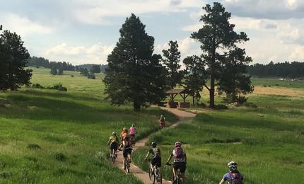 Elk Meadow Logo - Beginner Ride Meadows Evergreen. Colorado Mountain Bike