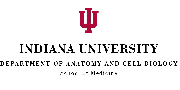 IU School of Medicine Logo - Jobs with Indiana University School of Medicine - Anatomy and Cell ...