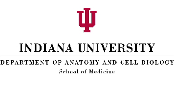 IU School of Medicine Logo - Jobs with Indiana University School of Medicine and Cell