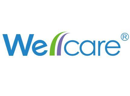 Purple Green and Blue Logo - History - ABOUT US - WELLCARE - Care Around You