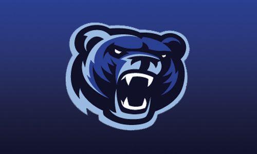 Blue Animal Logo - Logo io – Out of this world logo design inspiration – Blue Bear Logo