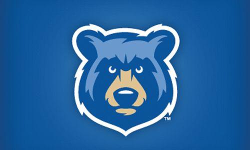 Blue Animal Logo - Logo io – Out of this world logo design inspiration – Bear Baseball Logo