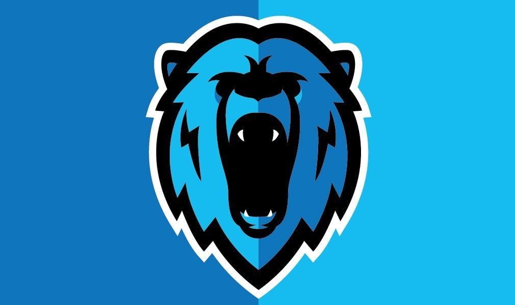 Blue Bear Logo - Blue Bear Logo | Skillshare Projects