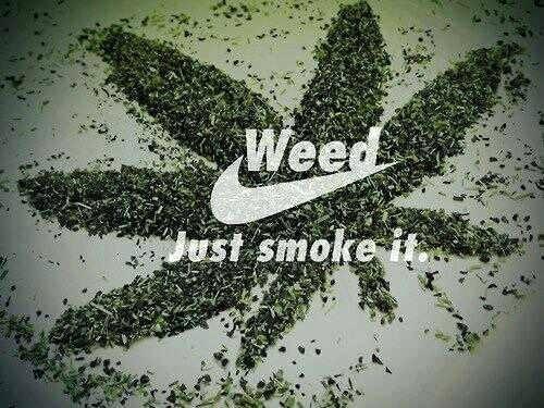 Smoke Nike Logo - Weed Nike Zoom Pr Gorge Green Black Skate Shoes