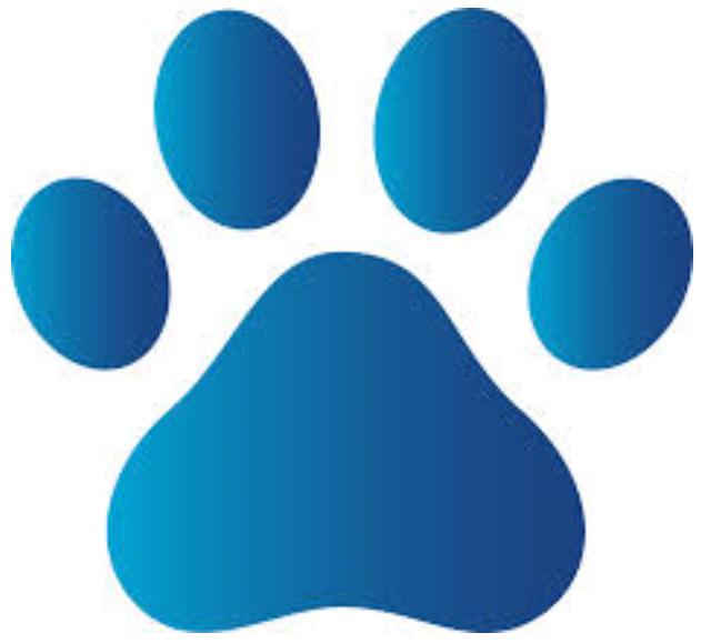 Blue Dog Food Logo - Old Dog Problems and Old Dog Health? How Dog Heiro Helps