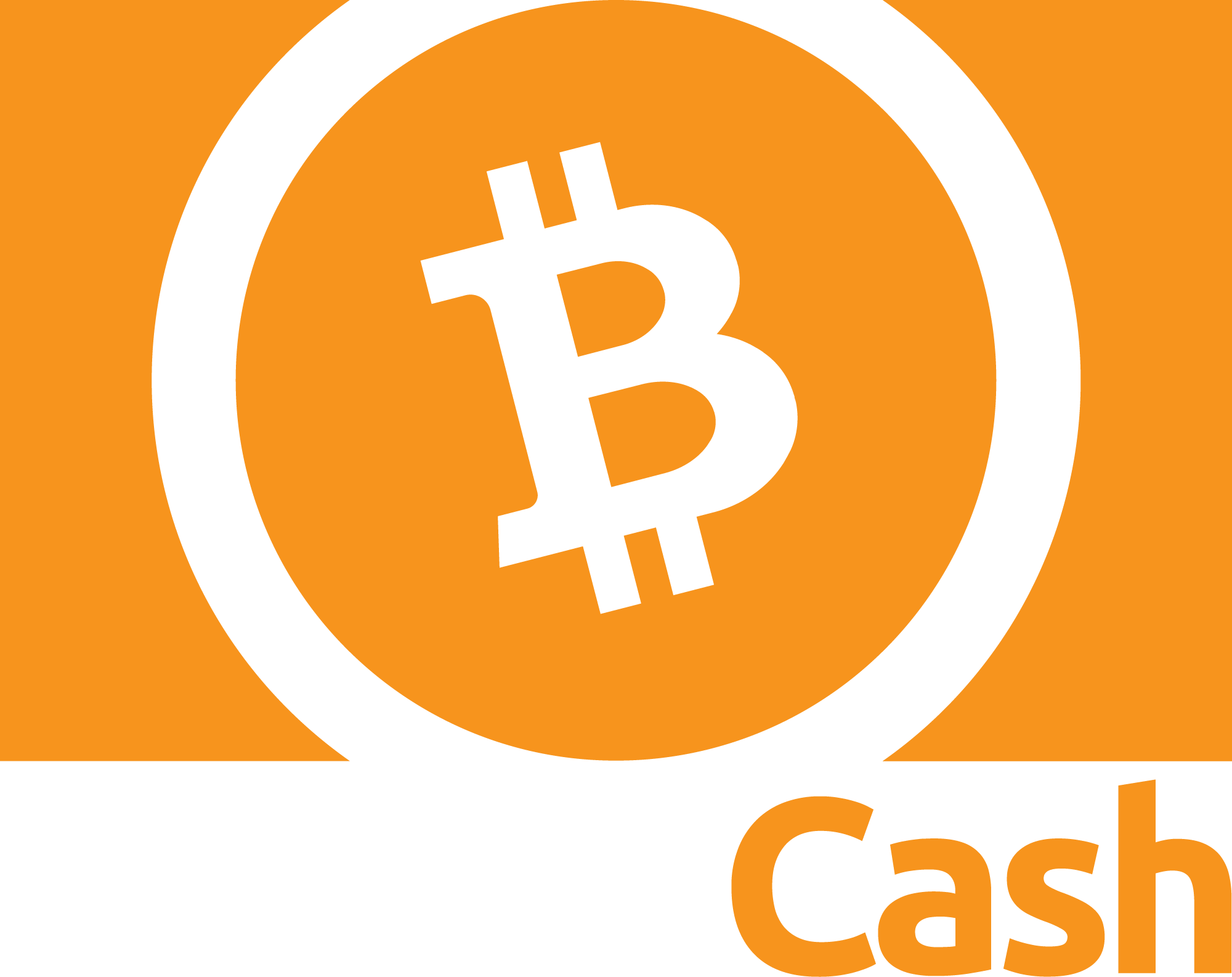 Orange and White Logo - Logos / Graphics - Bitcoin Cash