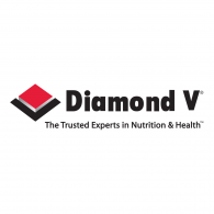 Diamond V Logo - Diamond V | Brands of the World™ | Download vector logos and logotypes