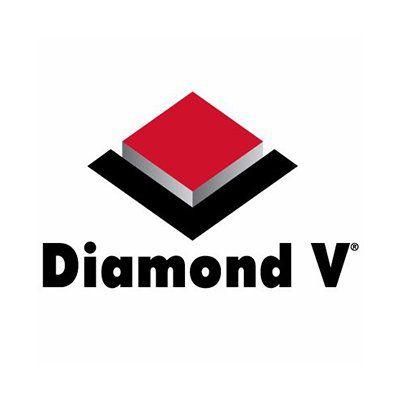 Diamond V Logo - Diamond V