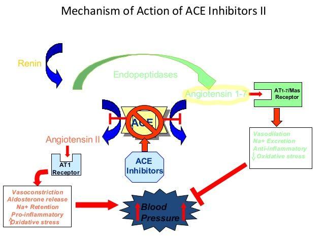 Acei Logo - ACE Inhibitors