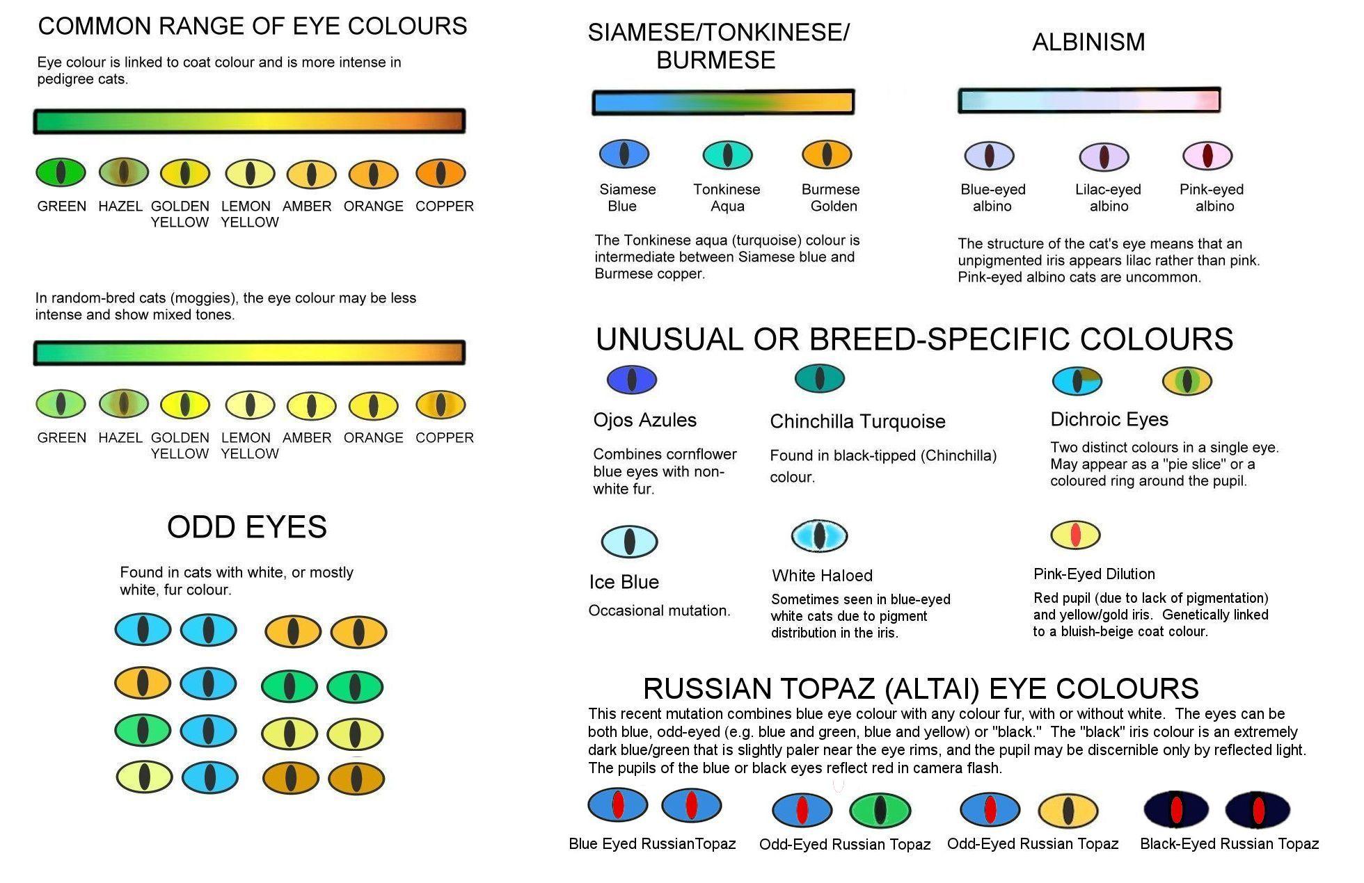 White and Green Eye Logo - Eye Colours