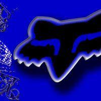 Blue Fox Head Logo - Blue Fox Animated Gifs