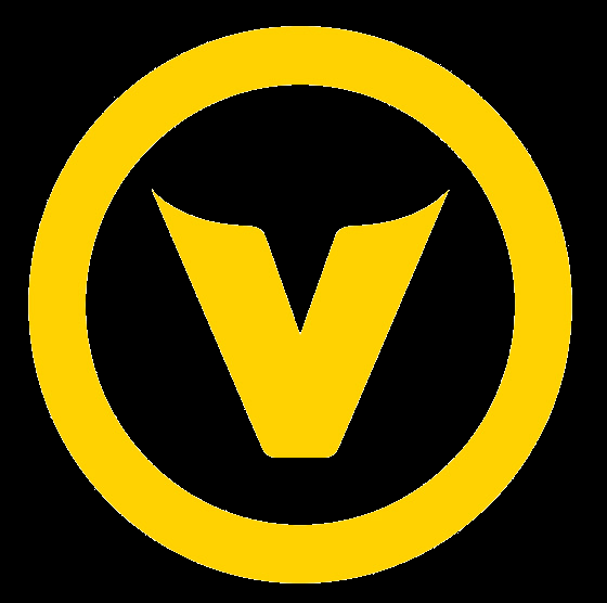 Vision Marvel Logo - Vision Valor Victory Gaming | webfilesforex