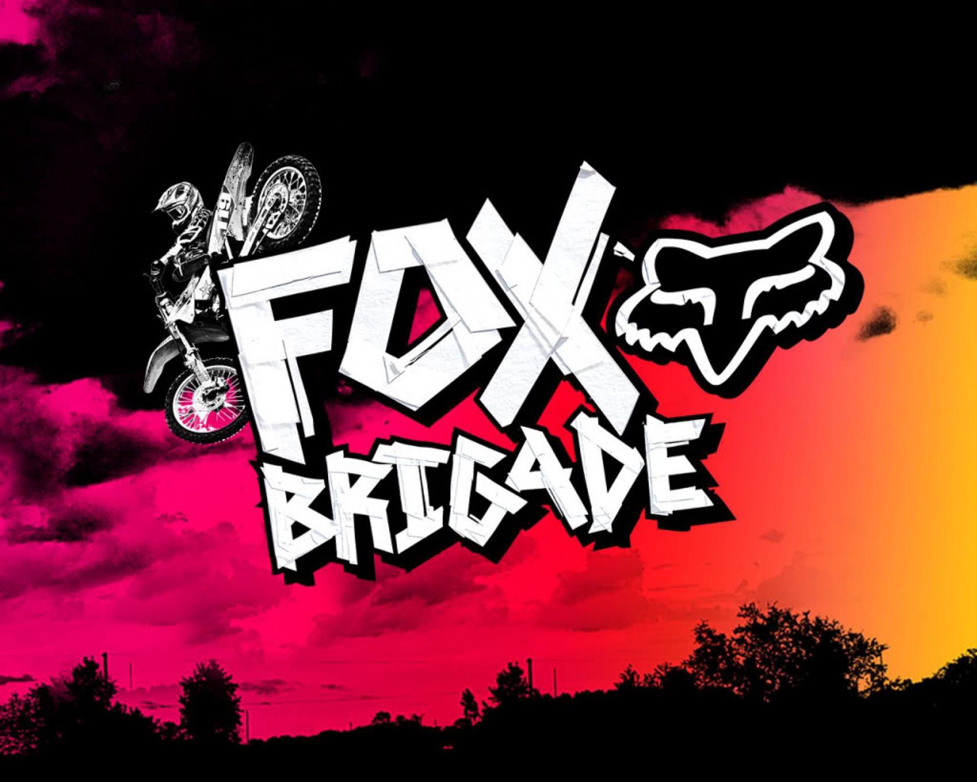 Blue Fox Head Logo - Fox Racing Wallpaper HD